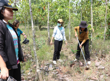 สหกรณ์จังหวัดบึงกาฬ พร้อมด้วยสหกรณ์การเกษตรเมืองบึงกาฬ ... พารามิเตอร์รูปภาพ 12